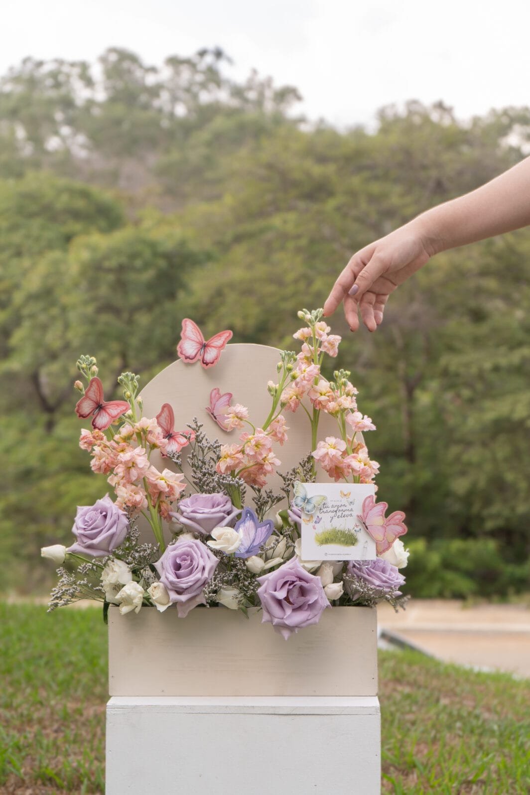 MOM05 - Image 4